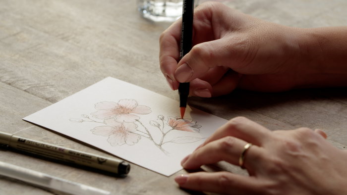 SAKURA Set Creativo Art Kit Flor de Cerezo (Pigma Micron 05, Gelly Roll, Koi coloring y 3 postales A6) SAKURA Set Creativo Art Kit Flor de Cerezo (Pigma Micron 05, Gelly Roll, Koi coloring y 3 postales A6)